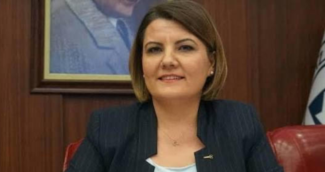 chpli baskandan partisine kongre isyani akplilerle el sikisanlara odun vermedim Da2Cw62O