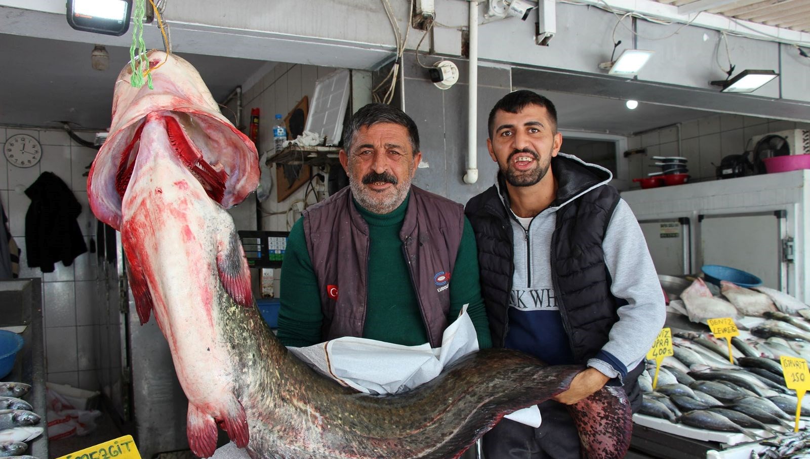 kilosu 250 liradan satisa sunuldu tam 85 kilogram agirliginda tAJeyPhQ