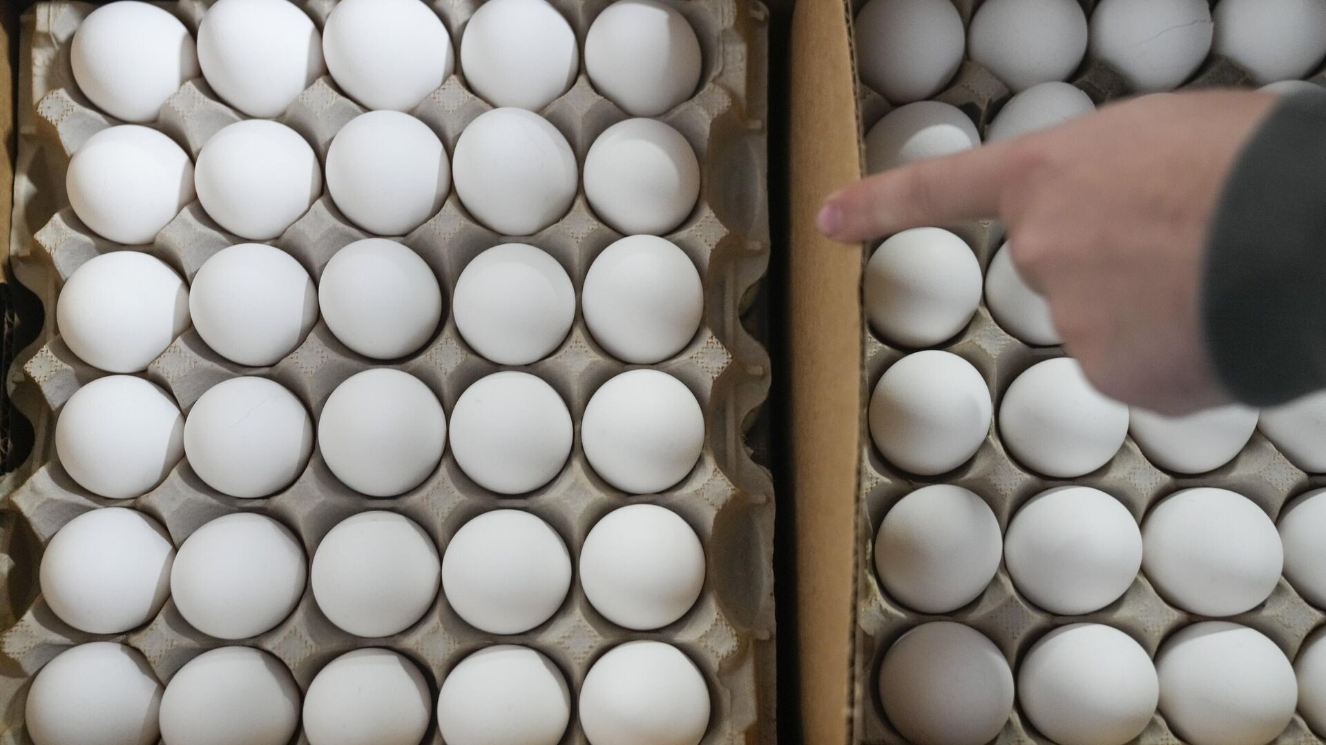 kus gribi avrupada yayiliyor yumurta fiyatlari yuzde 40 zamlanabilir 3c1xfBlr.jpg