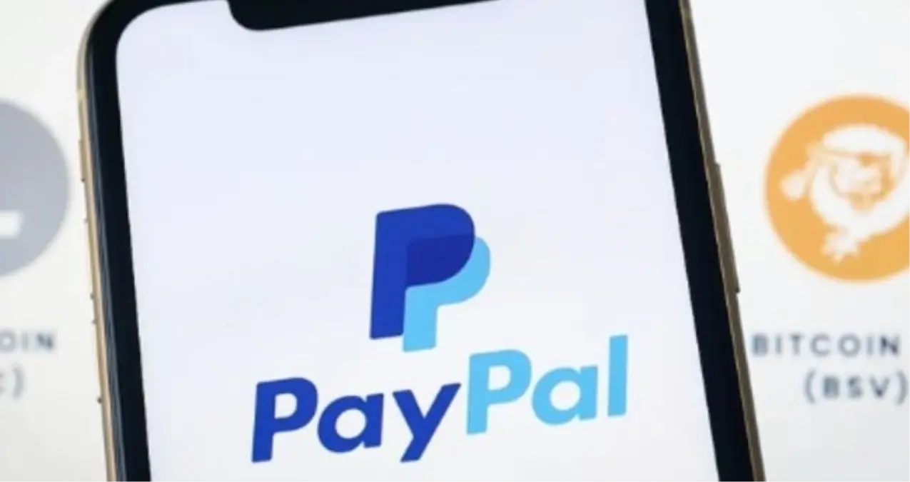 paypal turkiyede yasak mi paypal turkiyede ne zaman yasaklandi styjfVdX.jpg