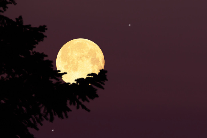 kasim dolunayi ne zaman boga burcunda dolunay saat kacta hangi gun gerceklesecek yilin en parlak ve buyuk dolunayi icin geri sayim MCktaj4f.jpg