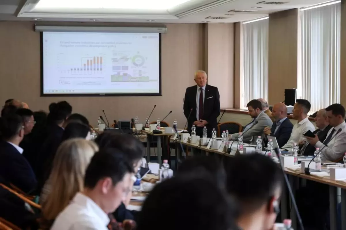 macaristan ile cin batarya geri donusumunde isbirligi yapiyor gZpW33q1.jpg