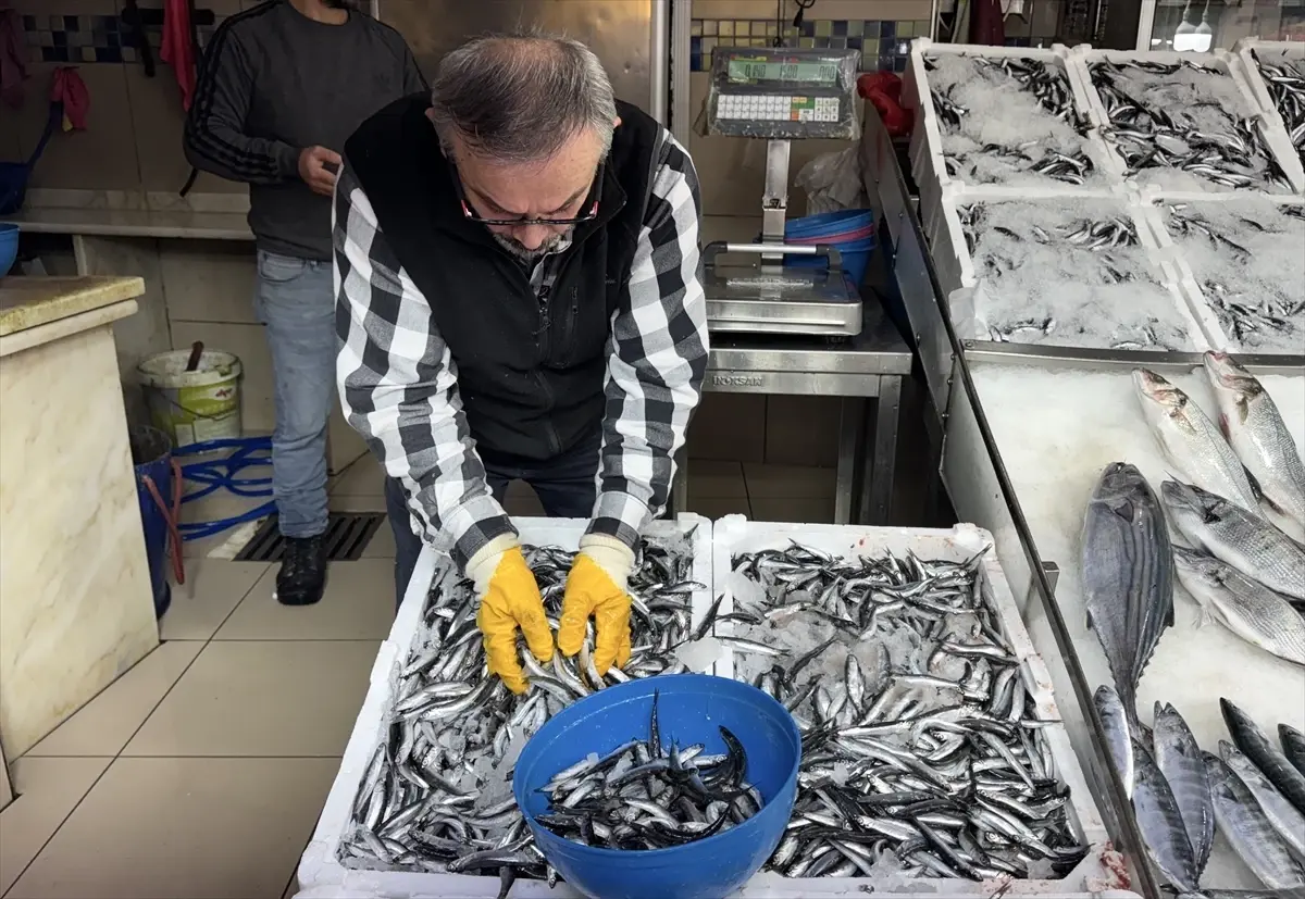 sinopta hamsi fiyatlari dustu MYkXpntb.jpg